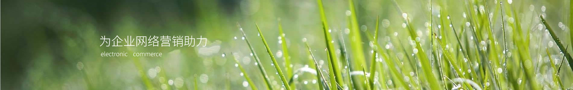뻱԰̻޹˾